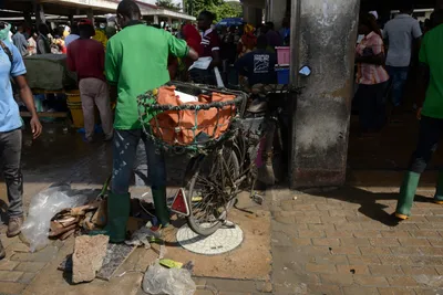 DSC_7575 (Large).JPG